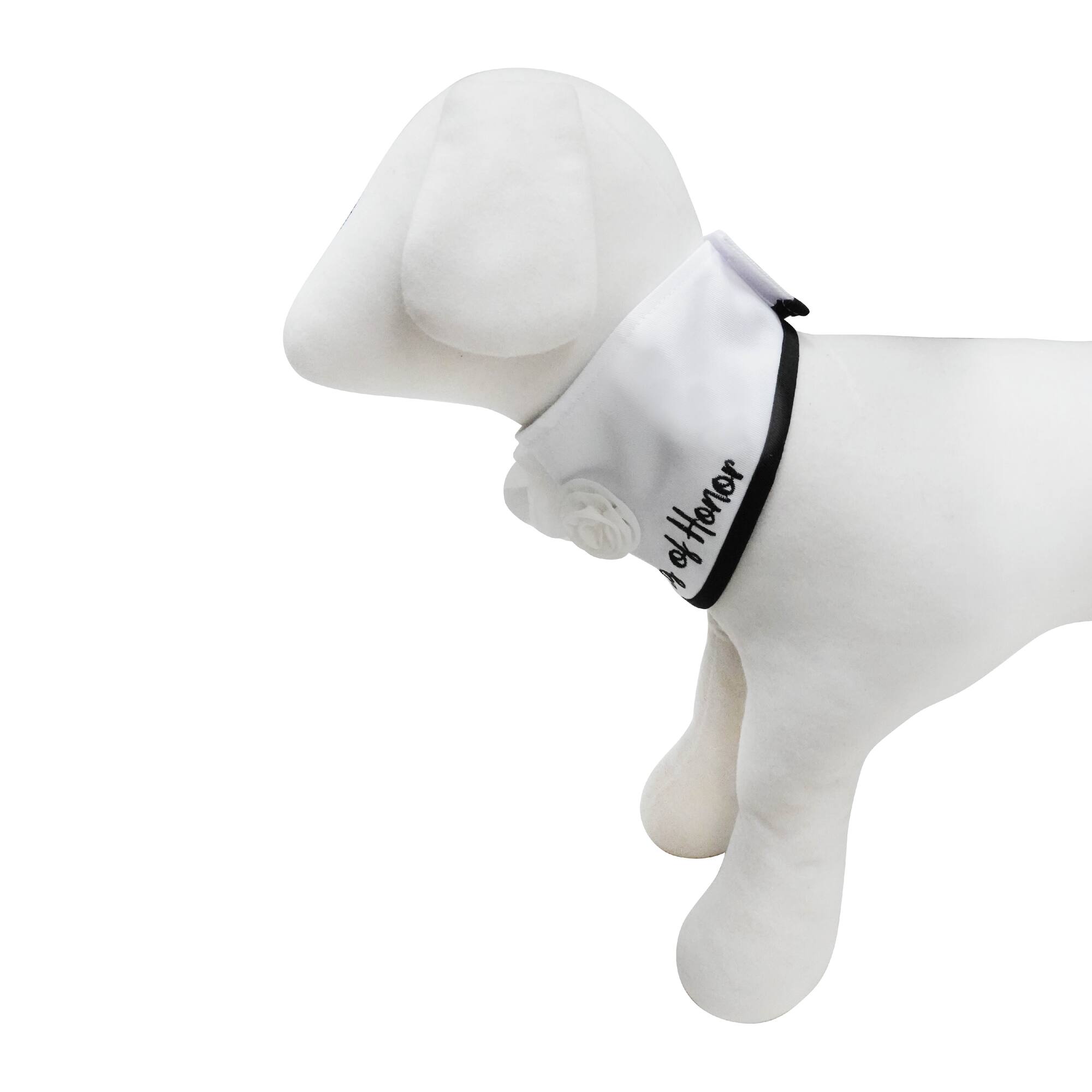 Best Furry Friends Dog of Honor Floral Collar